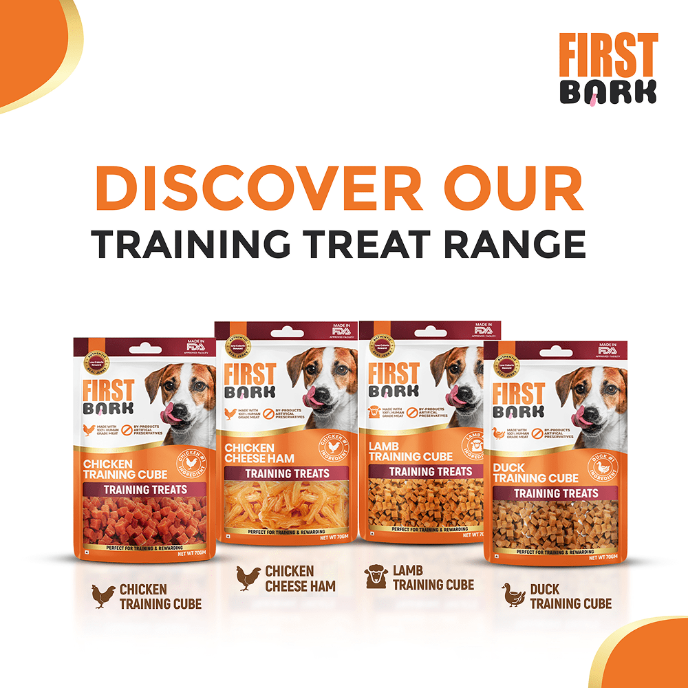First bark chicken training Cubes treats