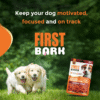 First bark chicken training Cubes treats