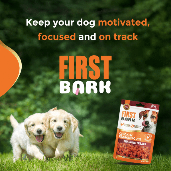 First bark chicken training Cubes treats