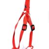 PP body harness 1"(Red)