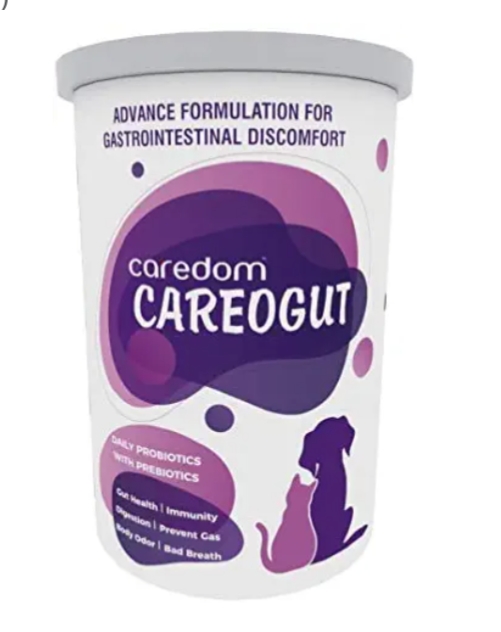 Caredom CAREOGUT - Super Premium PROBIOTICS + PREBIOTICS Blend with Enzymes | Promotes Better Digestion, Boost Immunity & Gut Health | for Dogs & Cats (100grm)