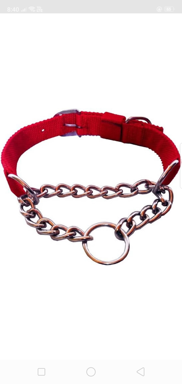Nylon collar with choke chain 1.5"(Red)