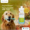 Oxyfresh pet oral hygiene solution 473ml