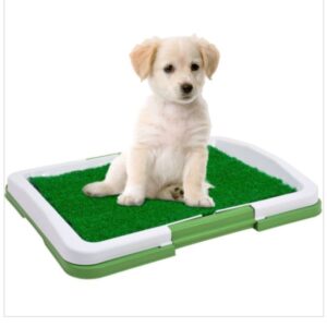 Puppy Mesh Toilet Indoor Puppy Toilet Training Tray (White)