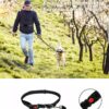 Petrun free leash for dogs