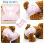 Diapers for female dogs