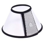 Elizabeth Collar size 3