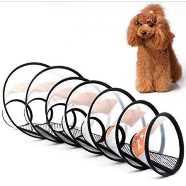 Elizabeth Collar size » JUST4PETSTORE