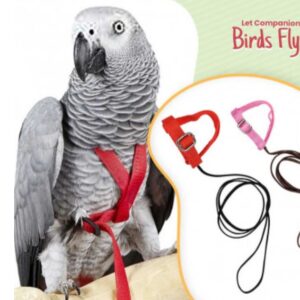 Parrot harness