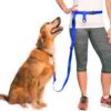 Petrun free leash for dogs