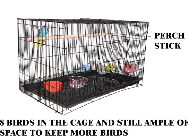 2ft Partition bird cage
