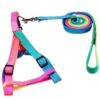 10mm multi colour leash & Harness