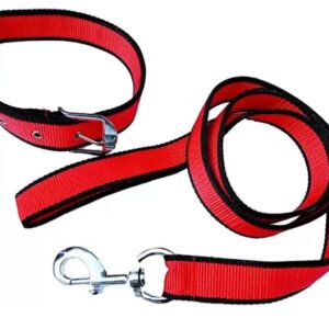 PP Leash & Collar (1.25")