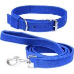 PP leash & collar (1.5")