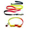 10mm multi colour leash & collar