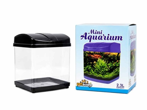 Mini aquarium tank with light