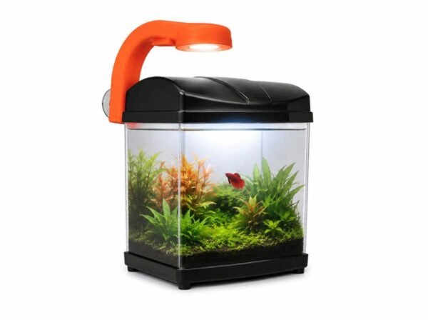 Mini aquarium tank with light