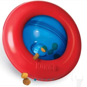 Kong gyro large dog toy
