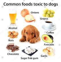 food toxic