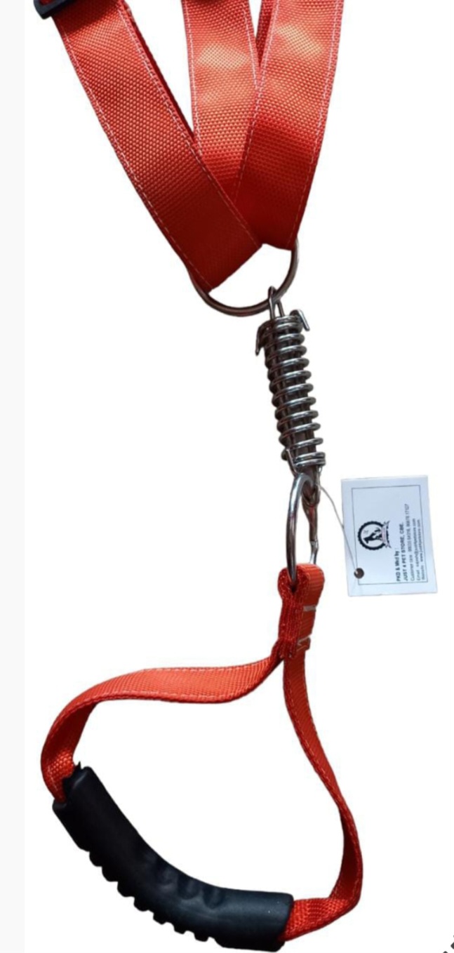 3 way Leash for 3 dogs (large)