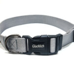 Glucklich Nylon Dog Collar (Green M size)