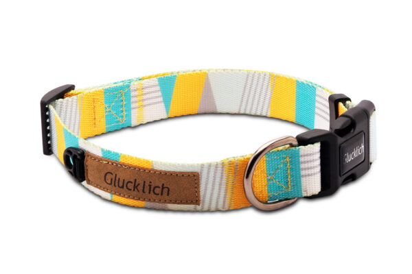 Glucklich Everyday Printed Collar (Cadillac L Size)
