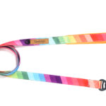 Glucklich Printed Leash Rainbow (M Size)
