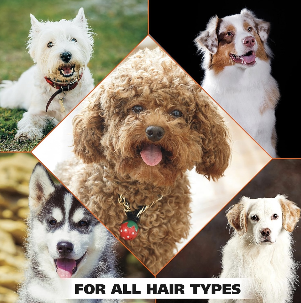 Wahl Flea and Tick shampoo 700 ml