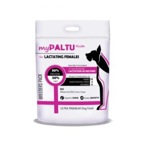 My Paltu Female-Lactation