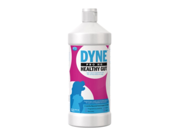 DYNE Pro HG for dogs (16oz)