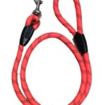Leash