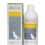versele laga ducolvit
