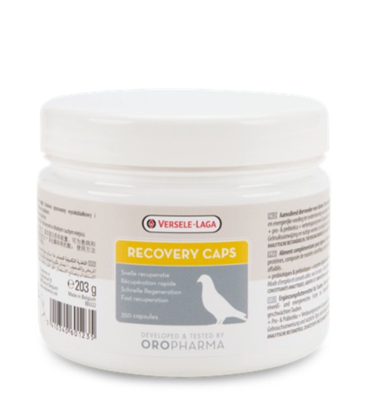 versele laga discovery caps