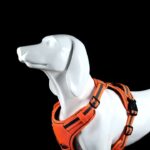 No pull harness [xs orange]