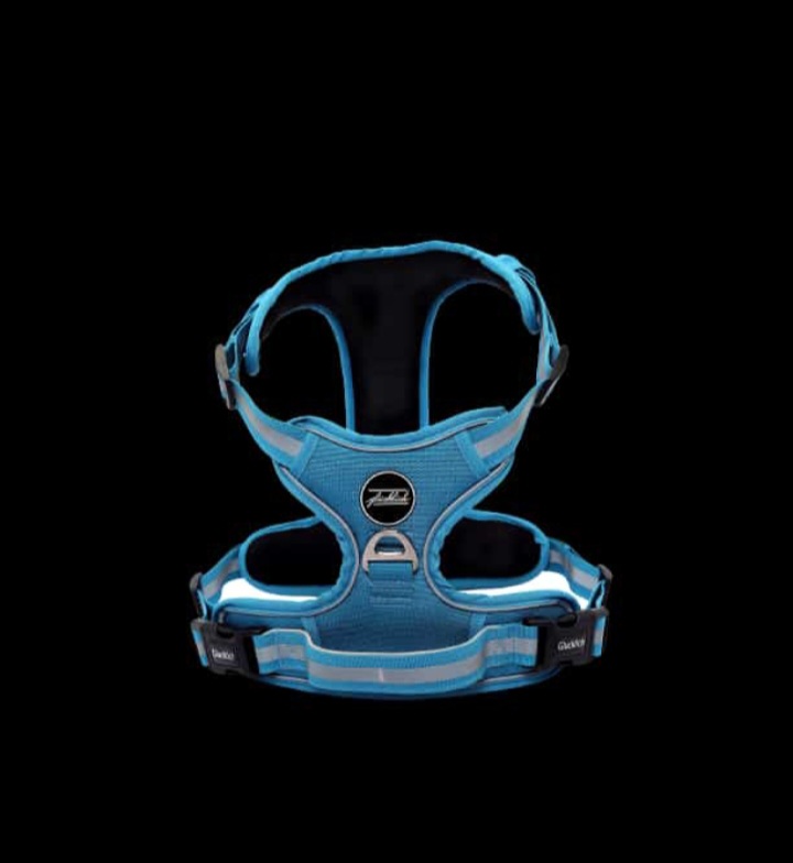 Harness for dogs