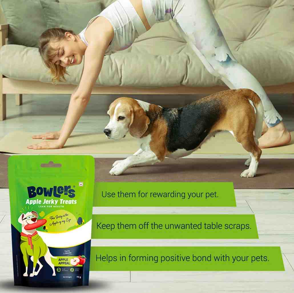 Bowlers Apple Jerky Treats | 70 gm