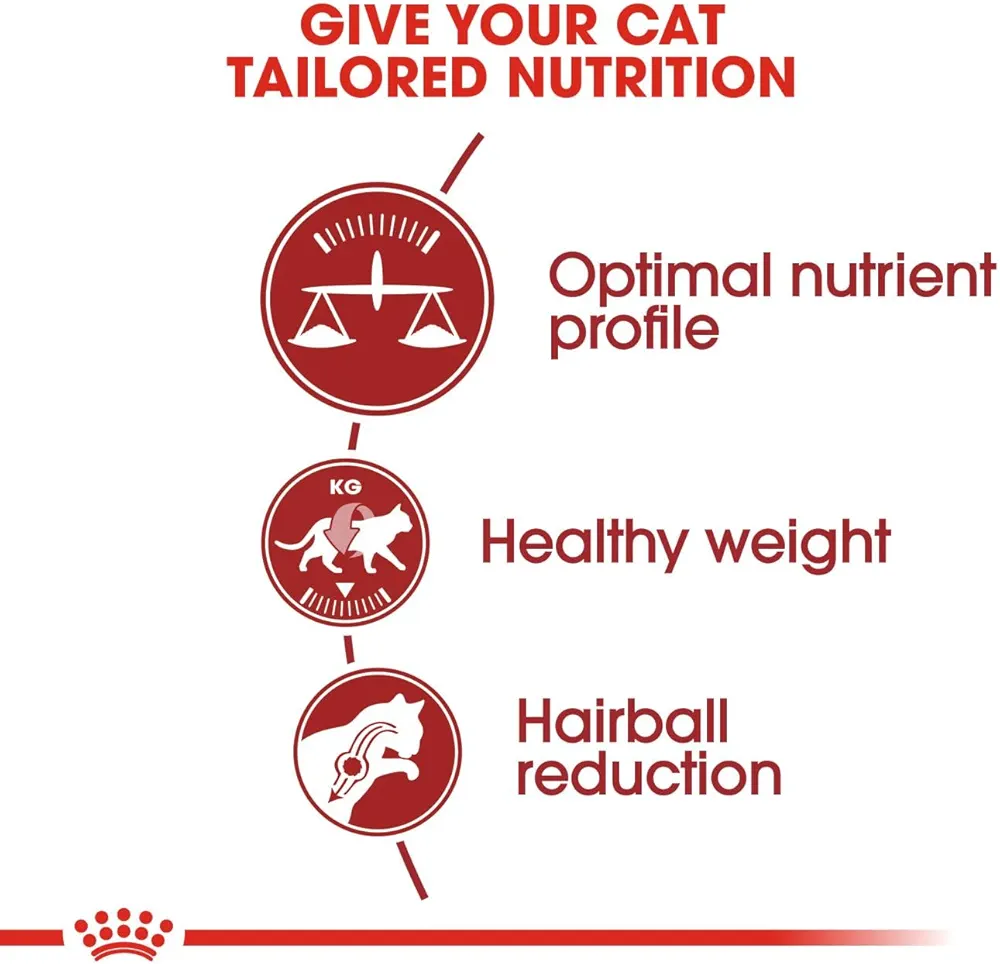 Royal Canin Regular Fit cat dry food