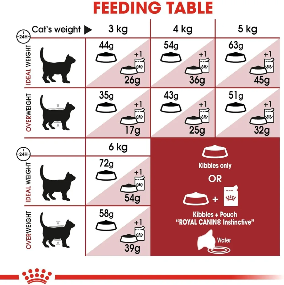 Royal Canin Regular Fit cat dry food
