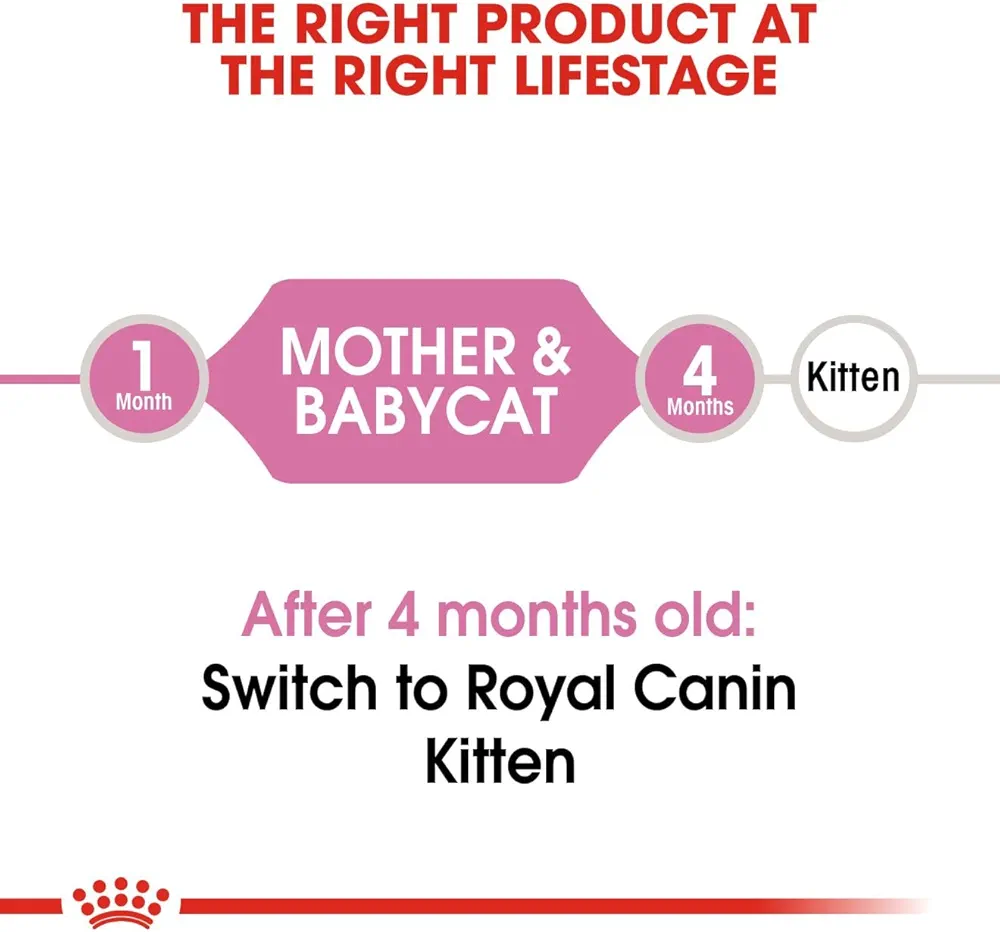 Royal Canin Mother and Baby cat dry food
