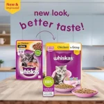 Whiskas kitten chicken gravy