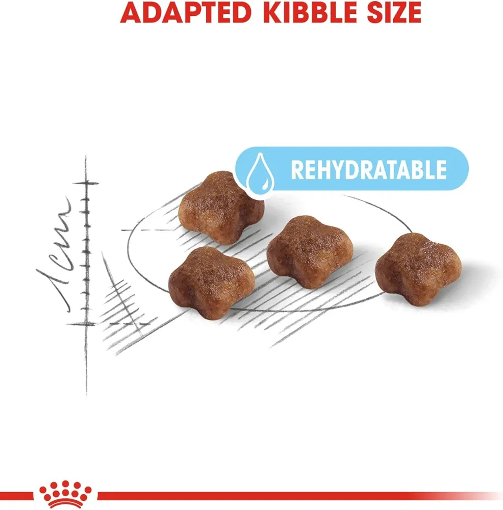 Royal Canin Mother and Baby cat dry food