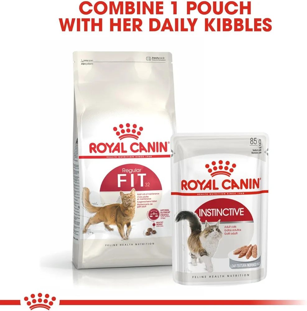 Royal Canin Regular Fit cat dry food