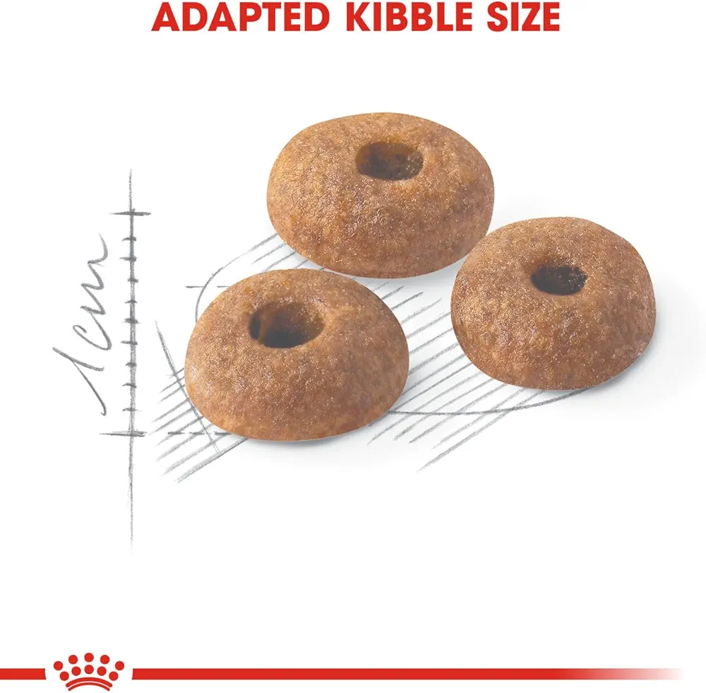 Royal Canin Regular Fit cat dry food