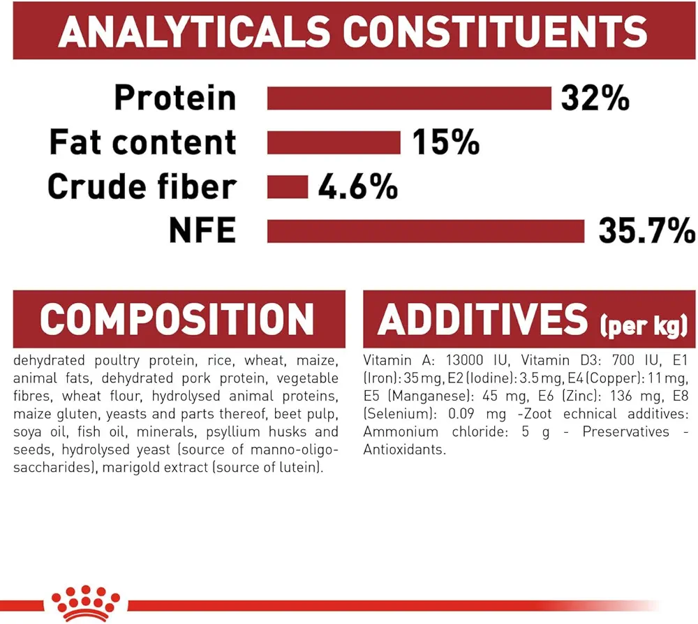 Royal Canin Regular Fit cat dry food