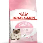 Royal Canin Mother and Baby cat dry food