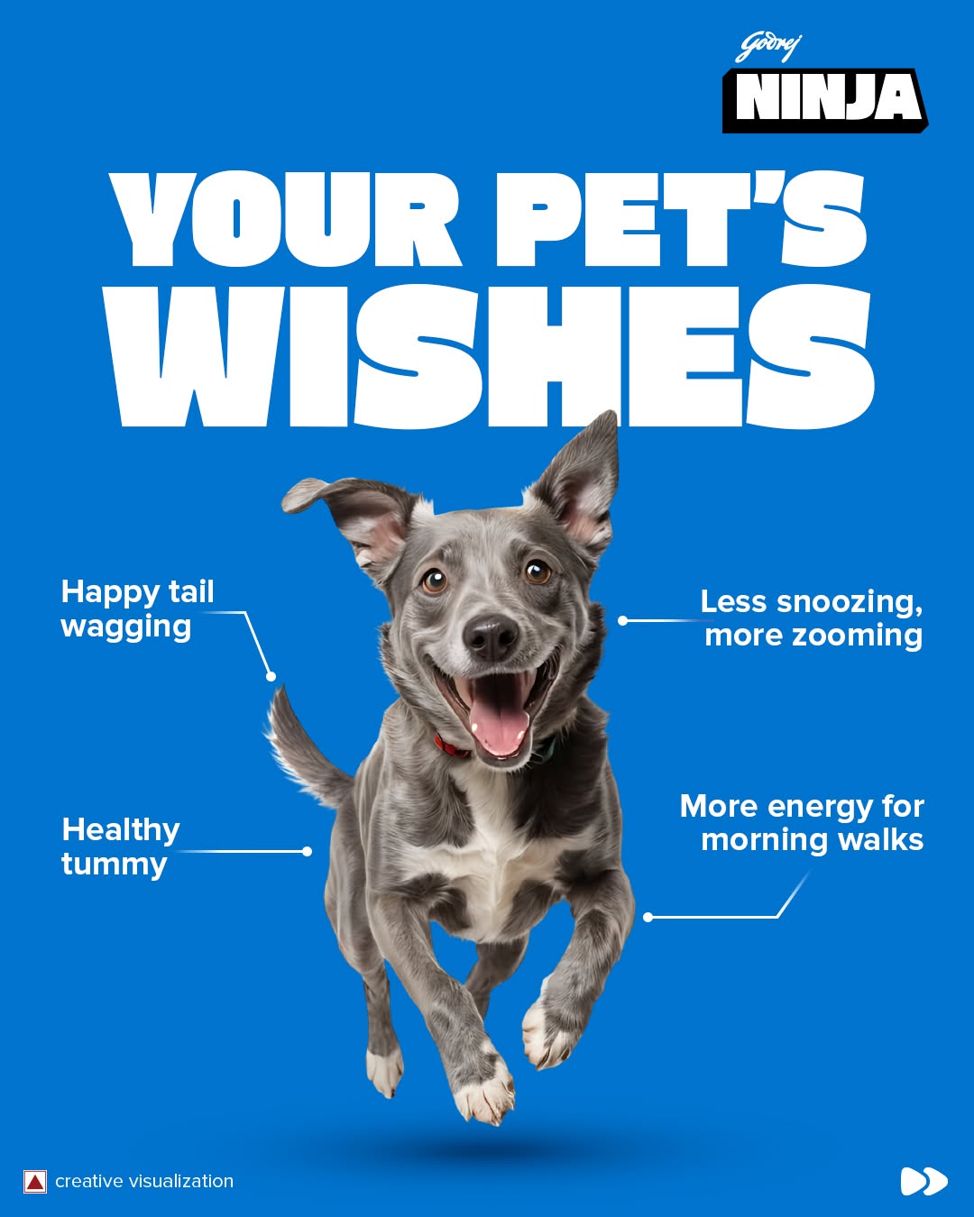 Godrej NINJA puppy dog food