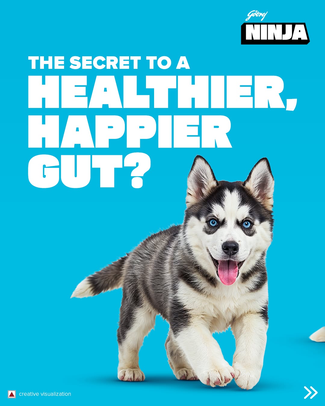 Godrej ninja dog food for Happiee health gut for peta