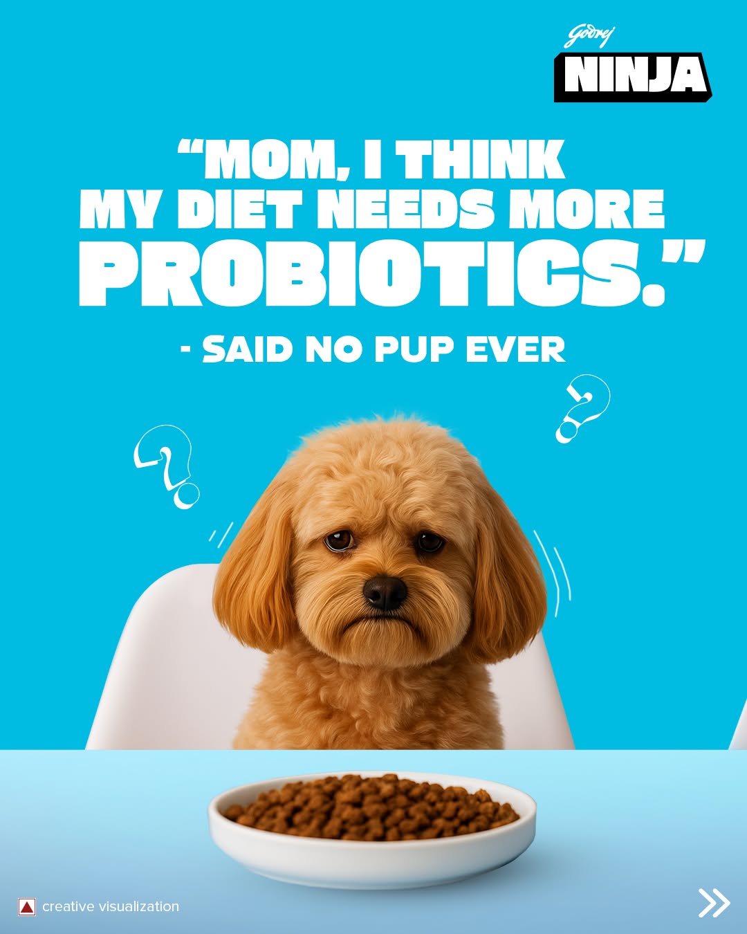 Godrej NINJA puppy dog food