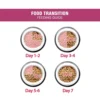 Persian Adult Cat Food