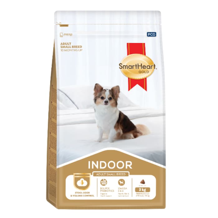 Indoor small breed adult smartheart
